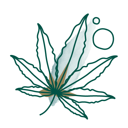 Cannabis seed oil