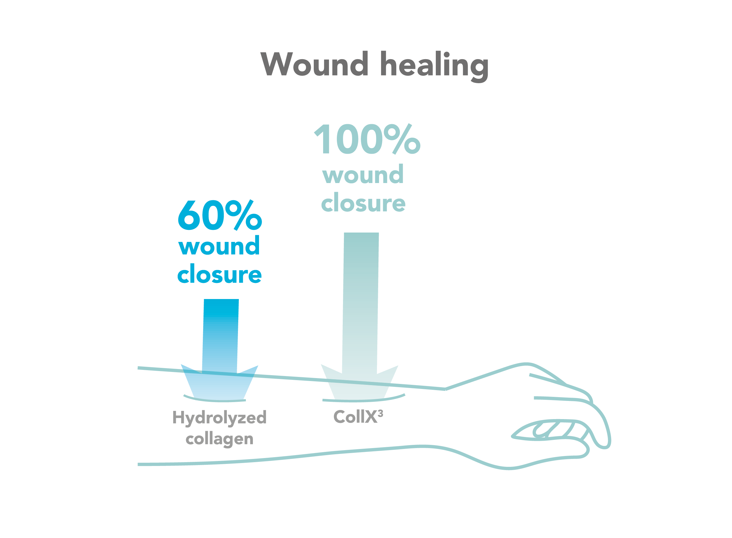 mediSKIN project ~ wound healing