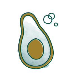 Avocado Oil ingredient